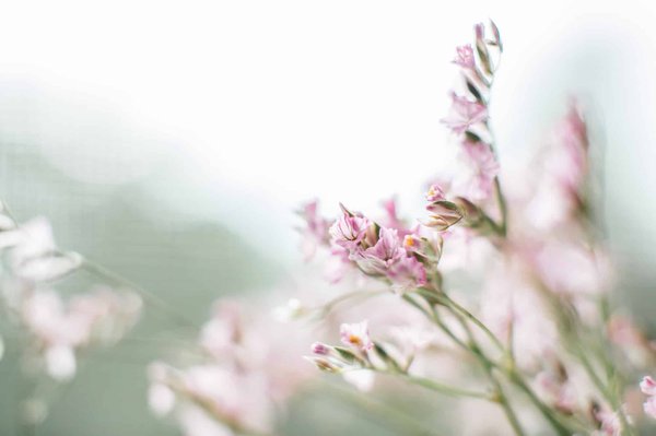 How Can You Mix Pastel Colors into Your Winter Wardrobe for a Pop of Brightness?