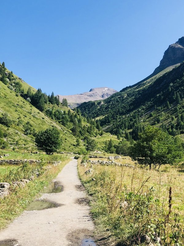 What Are the Most Effective Natural Remedies for Relieving Menstrual Cramps?